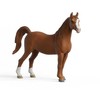 Schleich Collector Araber Stute (72262)