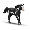 SCHLEICH HORSE CLUB Paintų veislės eržilas