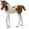 SCHLEICH HORSE CLUB Paintų veislės kumeliukas