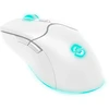 Speedlink - VELOX įkraunama RGB belaidė žaidimų pelė - balta