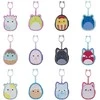 Squishalongs - 3 vnt. segtukų rinkinys, asortimentas, S2, CDU - SKU: 2510080
