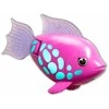 Swims Plaukimai – Rainbow Reef Fish – Rainbow Fish (6072523)