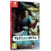 Tesura Games Terakota – Nintendo jungiklis
