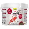 Tetra Koi Beauty Medium 10L