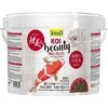 Tetra - Koi Beauty Small 10L