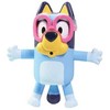 „Toomies“ – plaukimo mokykla „Bluey“ (203-73871)