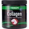 TRIKEM – kolagenas 350 g – (721.2110)