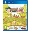 Graffiti Games ROČIŲ BERNIUKAS vengia mokesčių – PlayStation 4