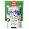 wanpy - Wanpy liofilizuotas kačių ėdalas su žole ir vištiena, 20 g - 20 g