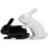 „Winkee“ – „Bunny S+P Shakers“ – druskos ir pipirų dozatorius