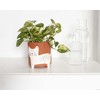 Winkee - gėlių vazono dubuo - gėlių vazono katė - 13 cm -
