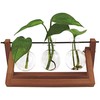Winkee - Hydro Vases Blossom - Vaza