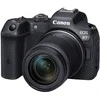 Canon EOS R7 + RF-S 18-150mm F3.5-6.3 IS STM(F/3.5-6.3 IS STM) + tvirtinimo adapteris EF-EOS R