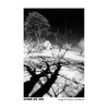ILFORD FILM SFX 200 120