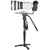 Leofoto Monopod MP-364C