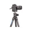 Leofoto Ranger Leofoto LS-254C + LH30 Ranger trikojis