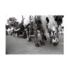 Lomographische Ag LOMOGRAPHY LADY Pilkas B&amp;W 400/36 ISO 3PCS 135 FILM