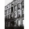 Lomographische Ag LOMOGRAPHY LADY Pilkas B&amp;W 400/36 ISO 3PCS 135 FILM