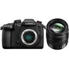 Panasonic Lumix G GH5 II (DC-GH5M2M) + Panasonic LUMIX G Vario 12-60mm f/3.5-5.6 Asph. Power OIS (H-FS12060) (Juodas)