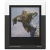 POLAROID GO FILM DOUBLE PACK 16 PHOTOS - Juodas FRAME