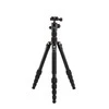 Trikojis Benro Tripster S0 su B00 rutuline galva