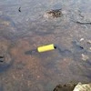 Minelab PRO-Find 35