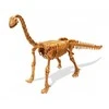 Archeologo rinkinys ,,Išsikask dinozaurą du kartus”, brachiosaurus