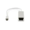 Perėjimas LMP USB-C to Gigabit Ethernet, pilkas