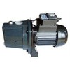 Terra Vandens siurblys 550 W