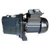 Terra Vandens siurblys 550 W