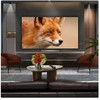„Televizorius LG OLED65C5ELB“ 165 cm / 65 colių 4K OLED išmanusis televizorius