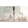 Rankinis trintuvas Bosch MSM6M8X1 ErgoMaster, 1200 W