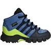 Adidas Avalynė Vaikams Terrex Mid Gtx Mėlyna