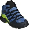 Adidas Avalynė Vaikams Terrex Mid Gtx Mėlyna