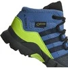 Adidas Avalynė Vaikams Terrex Mid Gtx Mėlyna