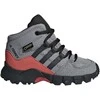 Adidas Avalynė Vaikams Terrex Mid Gtx Pilkas D97656