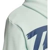 Adidas Džemperis cat Graph Hood Žalias FM1192