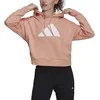 Adidas Džemperis Moterims W Fi 3B Hoodie Peach H24082