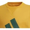 Adidas Džemperis Paaugliams B Bl Sweat Žalias Geltona GS4274