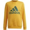 Adidas Džemperis Paaugliams B Bl Sweat Žalias Geltona GS4274