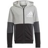 Adidas Džemperis Paaugliams U Cb Hoodie Pilkas HN8564