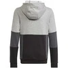 Adidas Džemperis Paaugliams U Cb Hoodie Pilkas HN8564