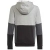 Adidas Džemperis Paaugliams U Cb Hoodie Pilkas HN8564