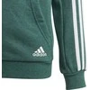 Adidas Džemperis Paaugliams Yb 3S Fz Hoodie Žalias DJ1745