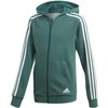 Adidas Džemperis Paaugliams Yb 3S Fz Hoodie Žalias DJ1745