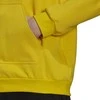Adidas Džemperis Vyrams Ent22 Hoody Geltona HI2140