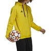 Adidas Džemperis Vyrams Ent22 Hoody Geltona HI2140