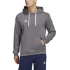 Adidas Džemperis Vyrams Ent22 Hoody Pilkas HB0578