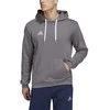 Adidas Džemperis Vyrams Ent22 Hoody Pilkas HB0578