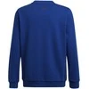 Adidas Džemperis Berniukams Logo Sweat Mėlyna HF1824